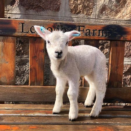 Lettoch Farm Bed & Breakfast Dufftown Ngoại thất bức ảnh